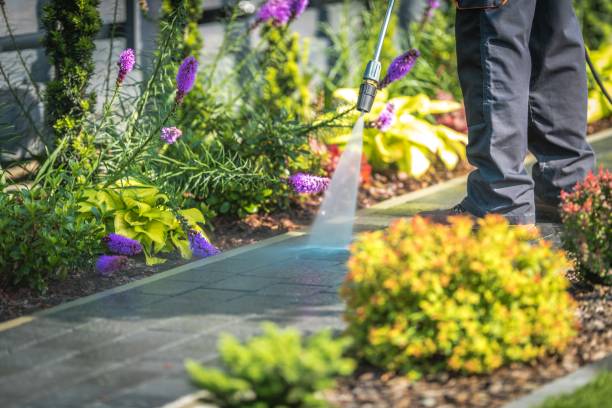 Best Dumpster Area Cleaning  in Clermont, GA